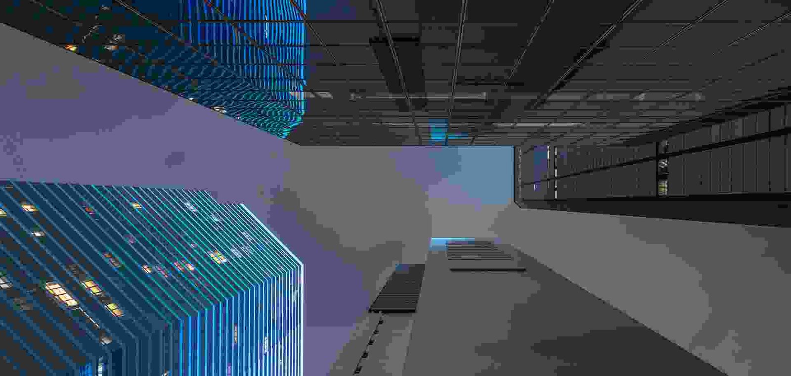 Kasa y Hablamos elegance